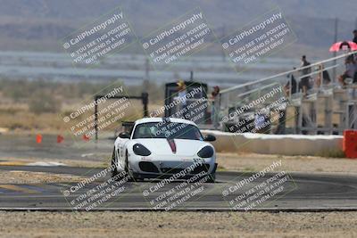 media/Mar-30-2025-Pro Autosports (Sun) [[34ff8f16e0]]/2-Blue-White Group/Main Race/
